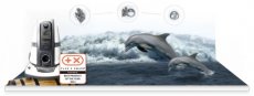 Delphin  Zuivering